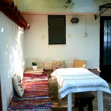 Anassa *